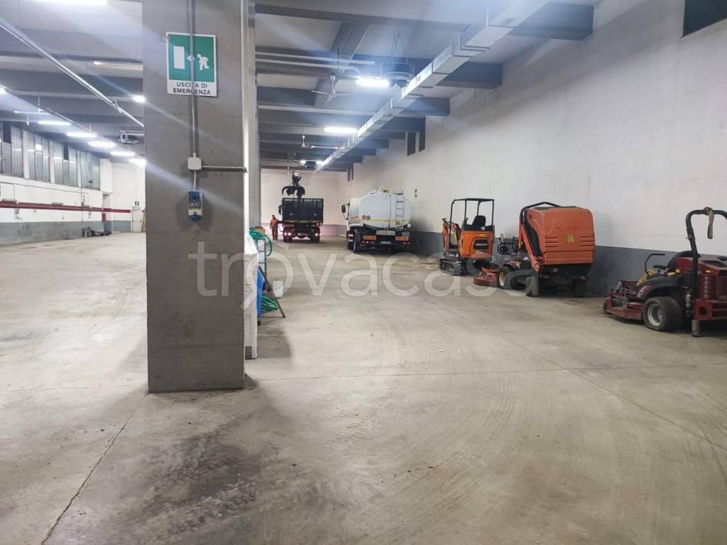 immagine annuncio 3 di 8