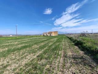 Terreno agricolo in vendita a ramacca contrada polmone