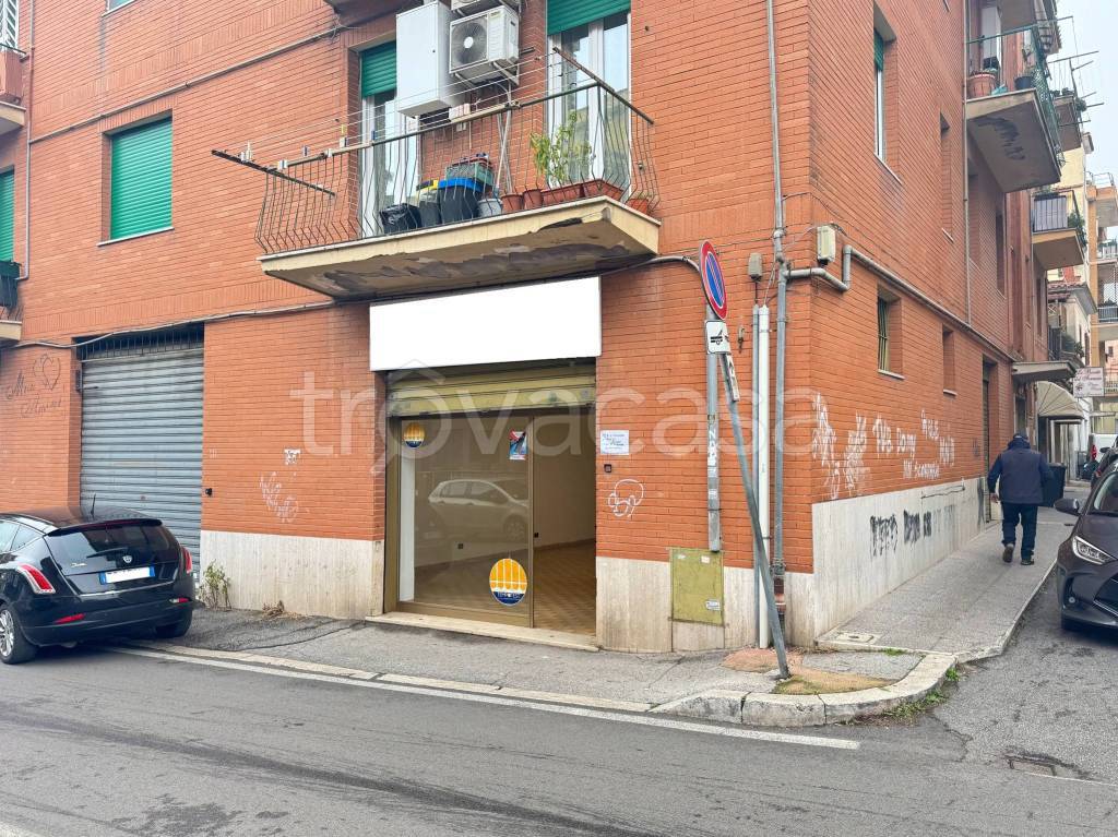 immagine annuncio 8 di 11