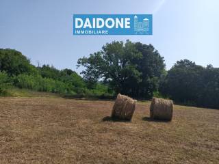 Terreno agricolo in vendita a montecatini val di cecina via del poggetto