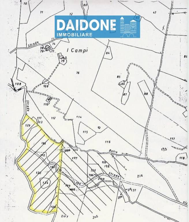 immagine annuncio 3 di 4