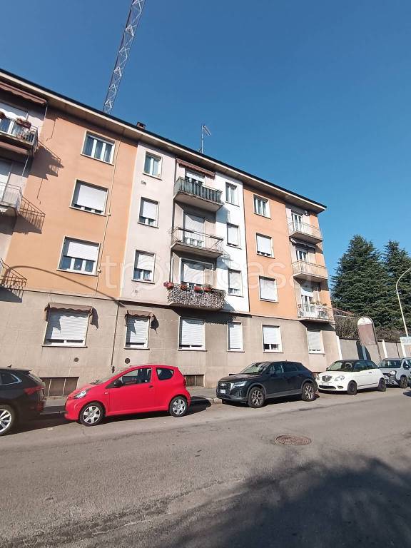immagine annuncio 2 di 15