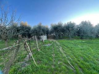 Terreno agricolo in vendita a bagno a ripoli via di baroncelli