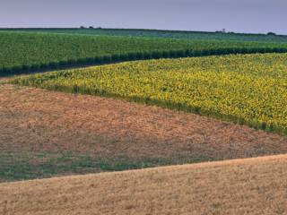 Terreno agricolo in vendita a san lazzaro di savena via colunga, 9