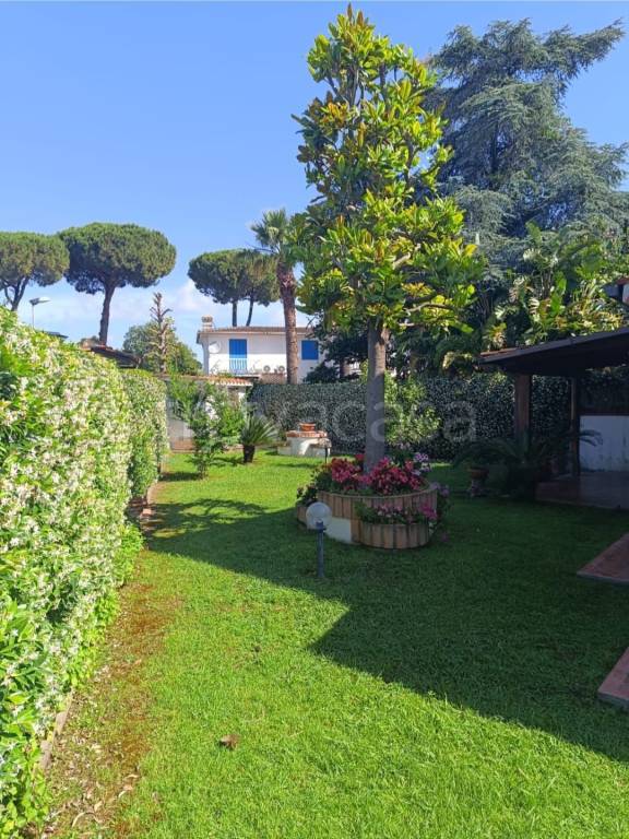 immagine annuncio 1 di 14