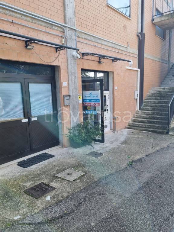 immagine annuncio 10 di 12