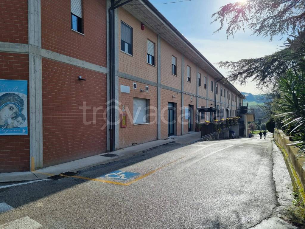 immagine annuncio 9 di 12