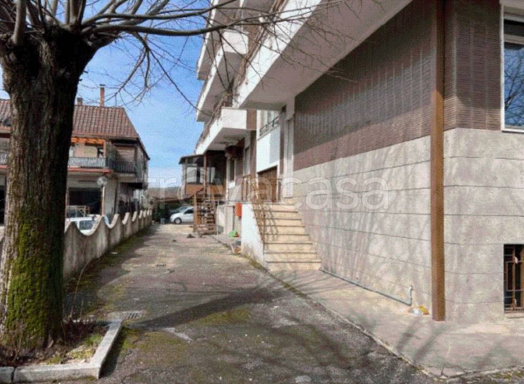 immagine annuncio 2 di 12