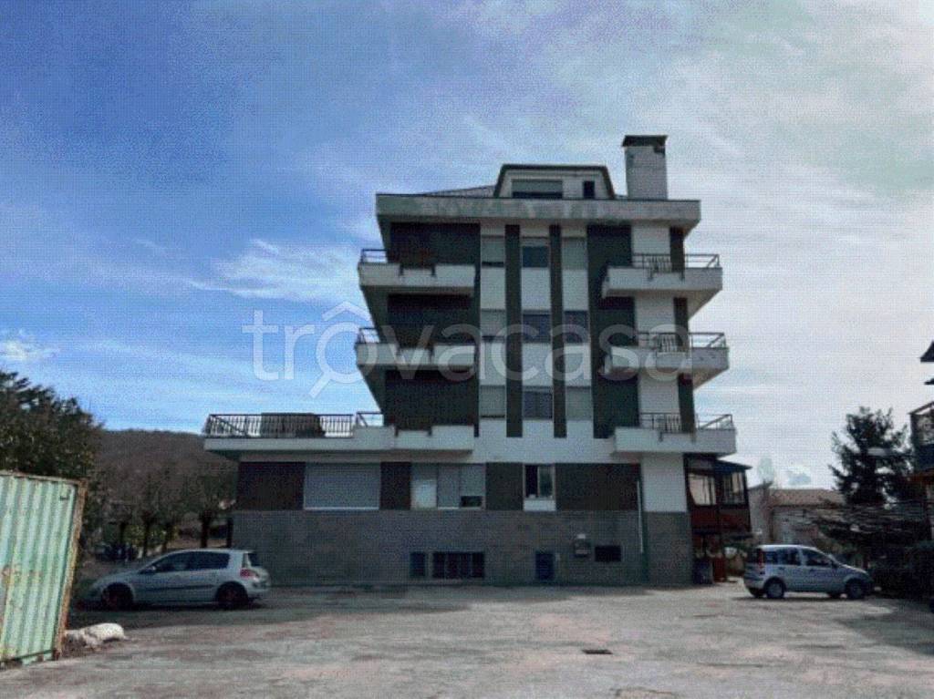 immagine annuncio 9 di 12
