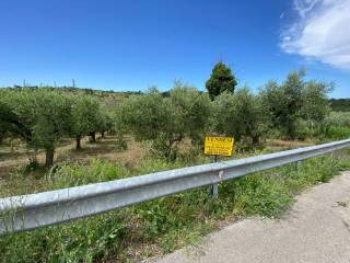 Terreno agricolo in vendita a cupello contrada strane, snc