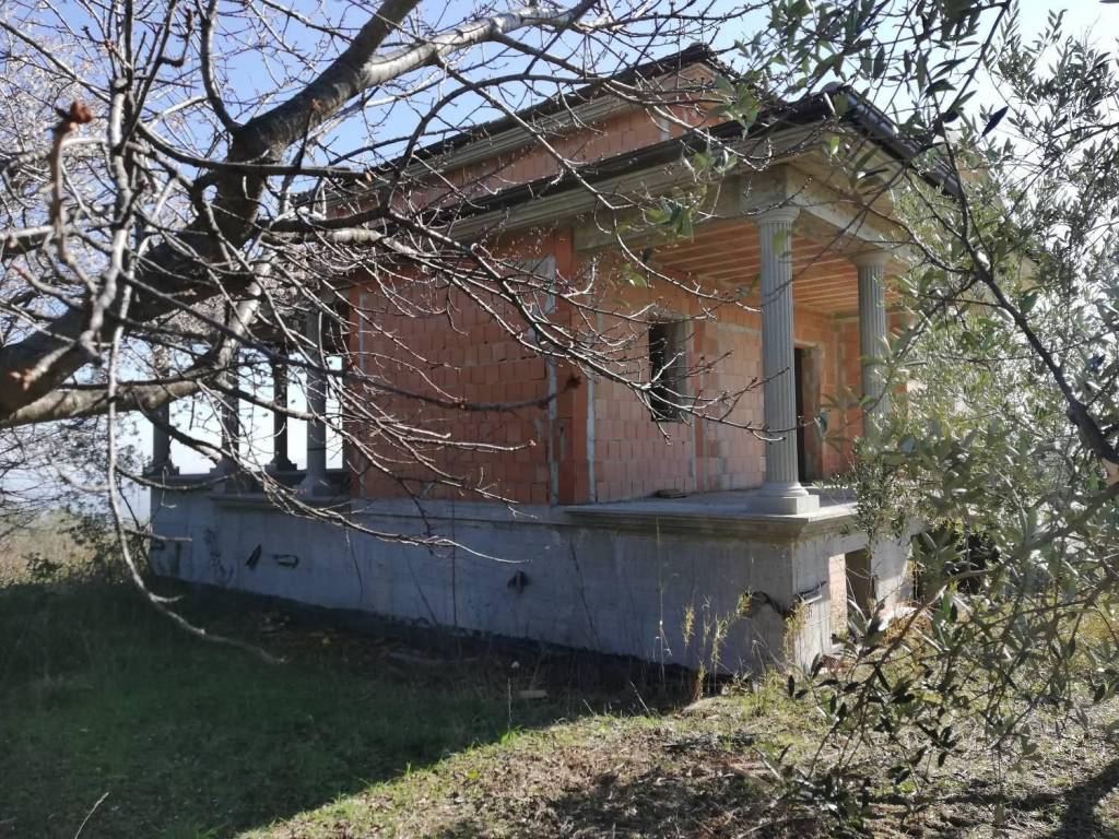 immagine annuncio 6 di 14