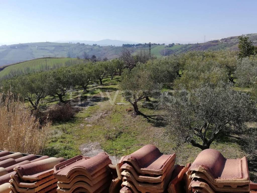 immagine annuncio 12 di 14