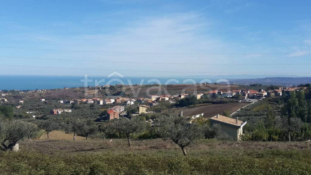 immagine annuncio 4 di 12