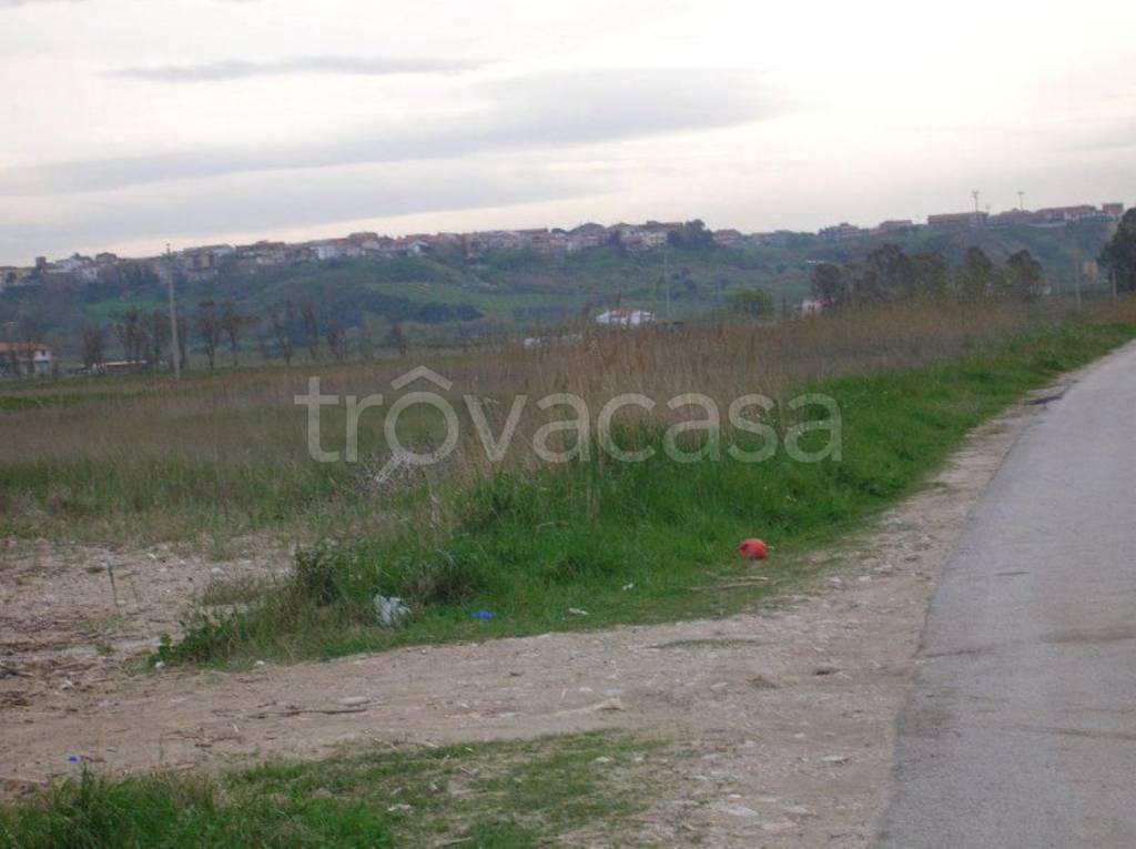 immagine annuncio 9 di 14