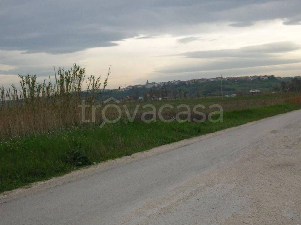 immagine annuncio 12 di 14