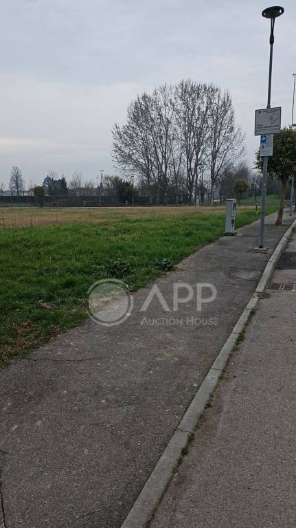 immagine annuncio 12 di 13