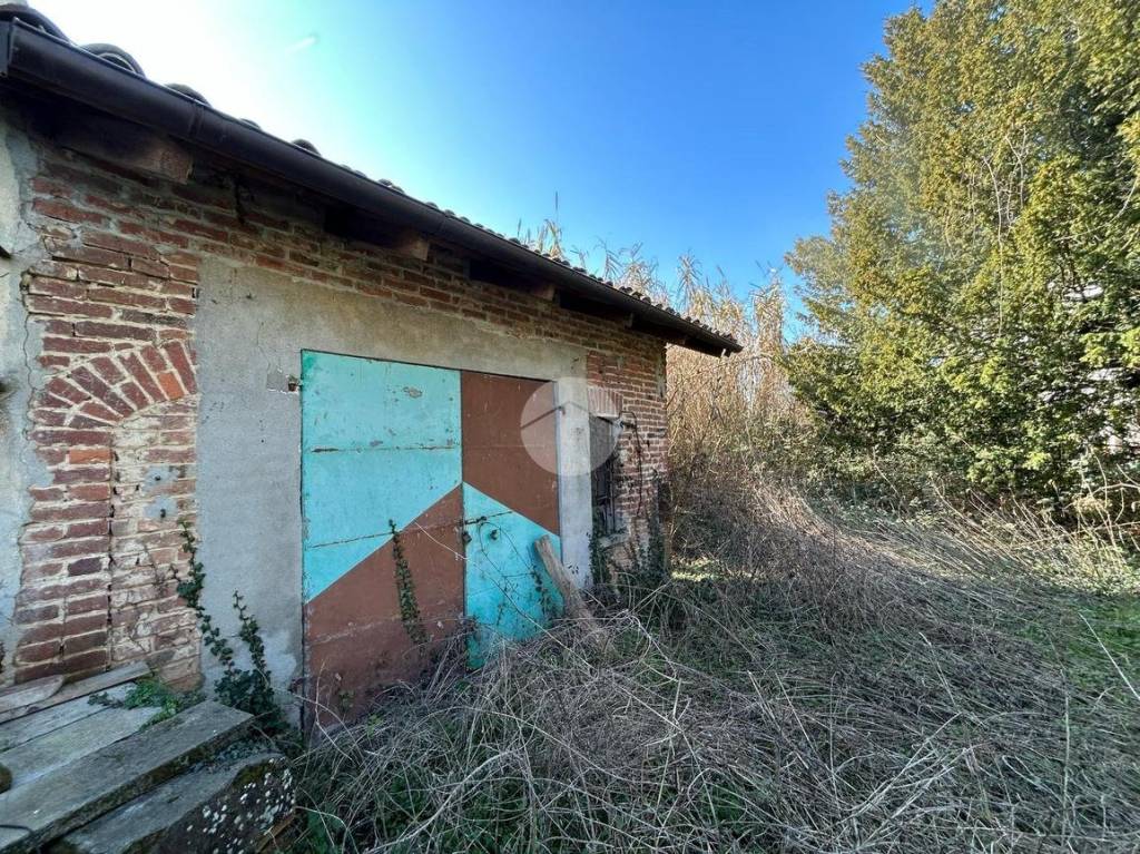 immagine annuncio 12 di 15