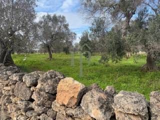 Terreno residenziale in vendita a san vito dei normanni contrada gaeta grande