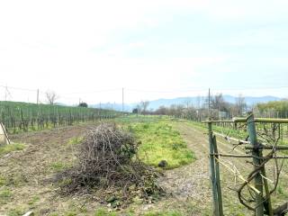 Terreno agricolo in vendita a prato via soffredi del grazia, 1