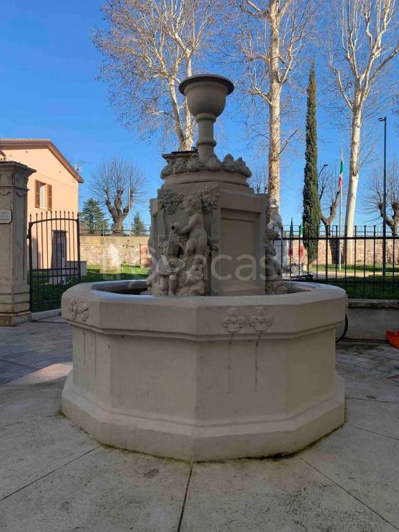 immagine annuncio 1 di 14