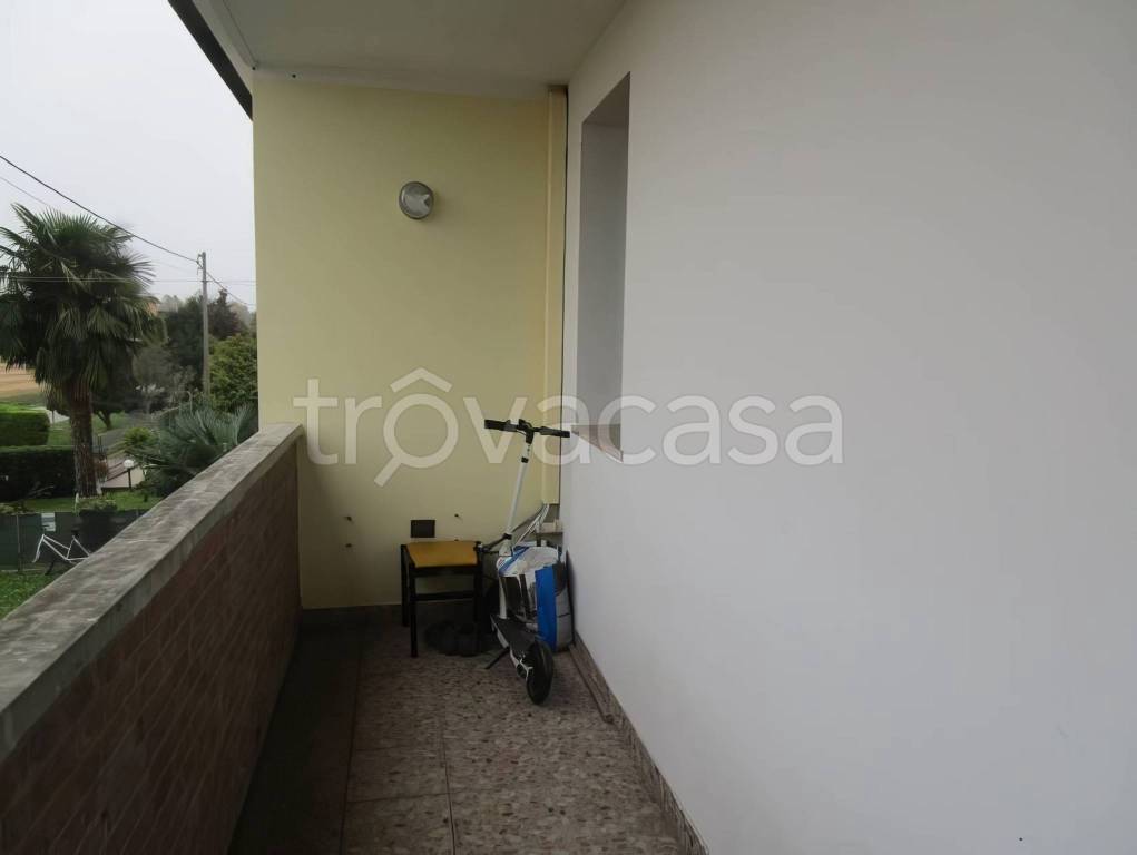 immagine annuncio 1 di 7