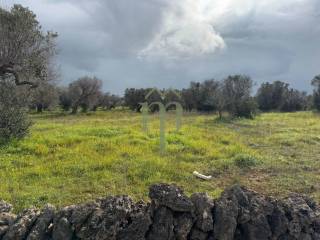 Terreno residenziale in vendita a carovigno contrada gaeta grande