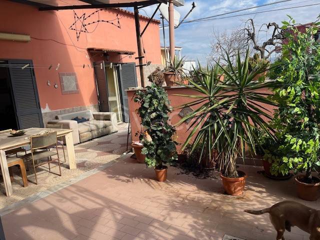 immagine annuncio 8 di 14