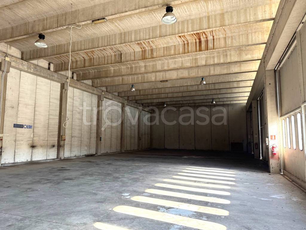 immagine annuncio 8 di 12