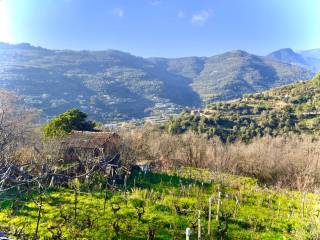 Terreno residenziale in vendita a dolceacqua località colmo