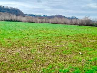 Terreno agricolo in vendita a manciano località la vecchia s.n.c.