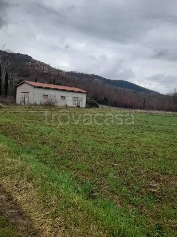 immagine annuncio 10 di 12