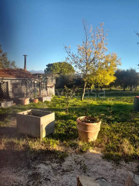 immagine annuncio 8 di 12