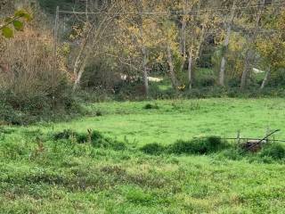 Terreno agricolo in vendita a manciano montemerano s.n.c.