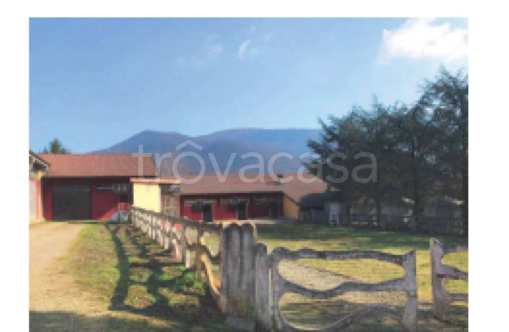 immagine annuncio 6 di 8