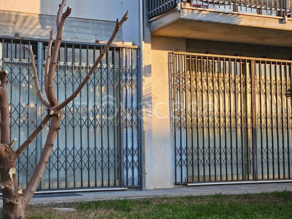 immagine annuncio 4 di 7