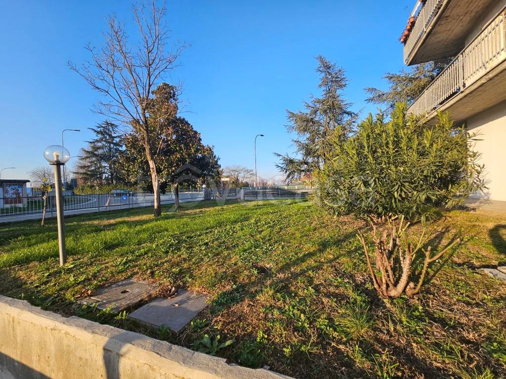 immagine annuncio 1 di 9