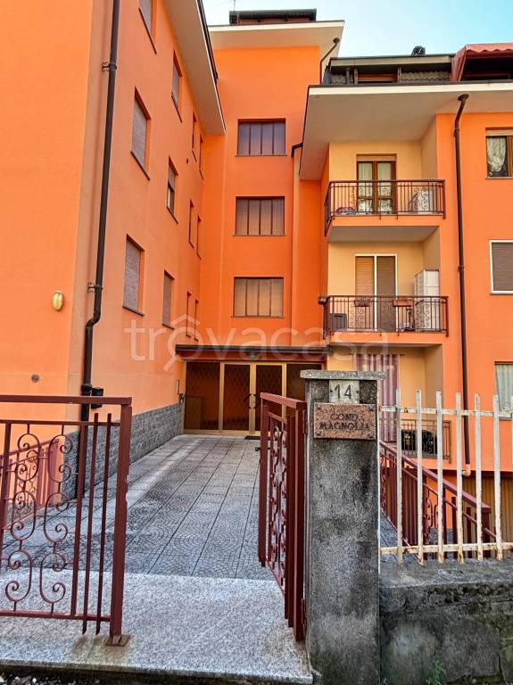 immagine annuncio 2 di 15