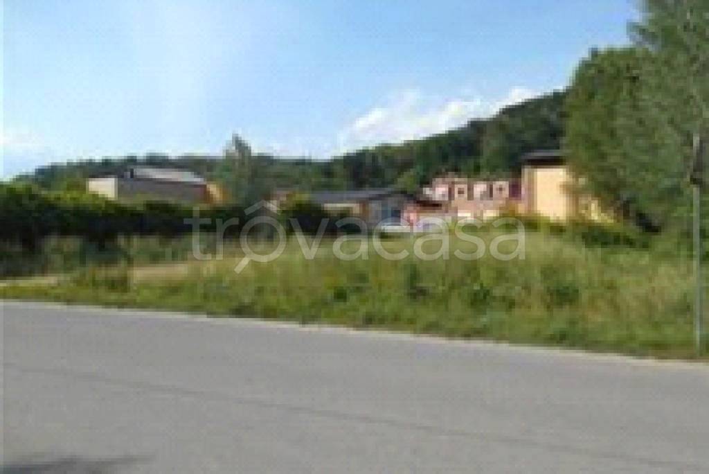 immagine annuncio 2 di 7