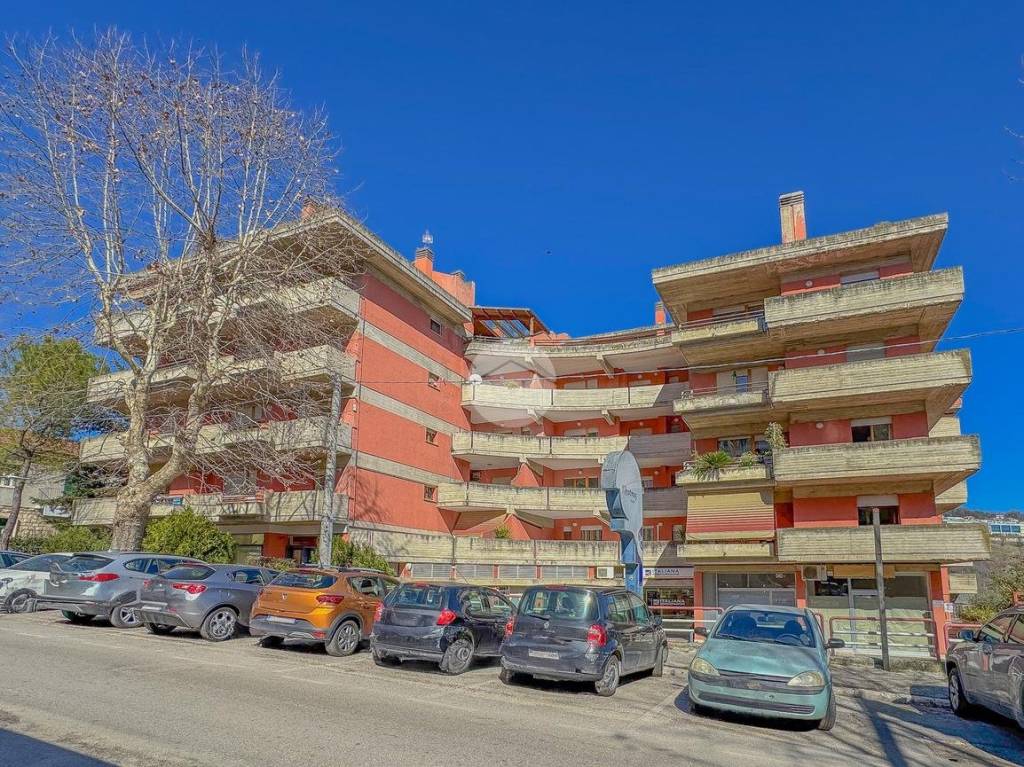 immagine annuncio 12 di 13