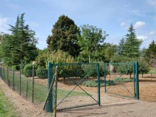 Terreno agricolo in vendita a valenza via napoli