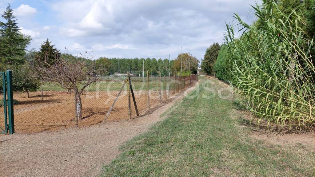 immagine annuncio 4 di 9