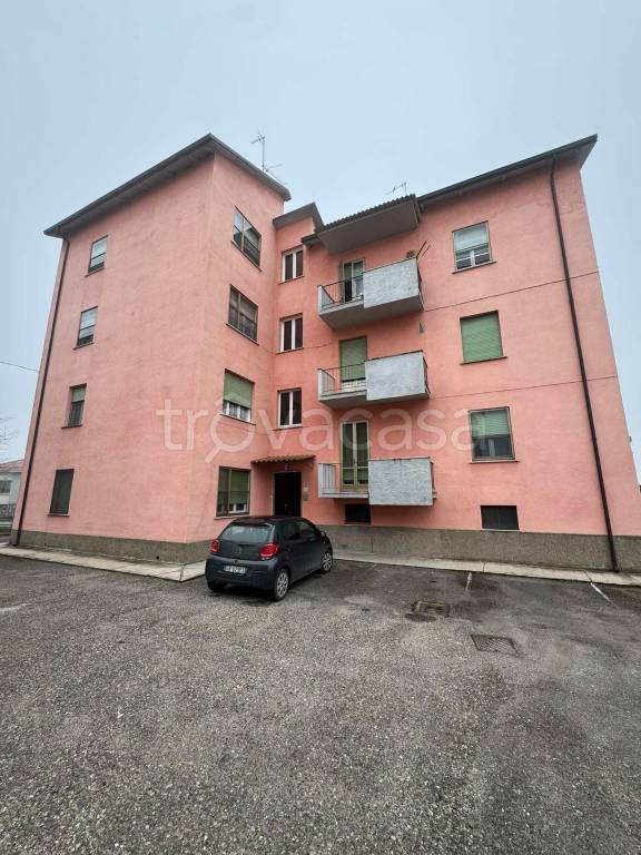 immagine annuncio 9 di 14