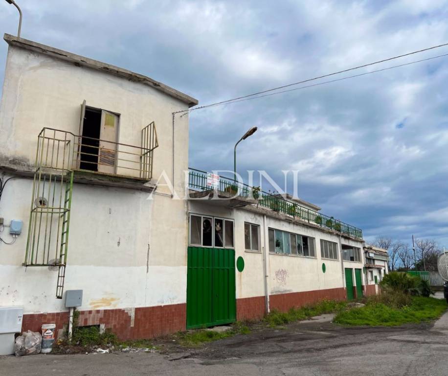immagine annuncio 6 di 13