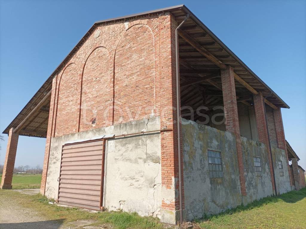 immagine annuncio 3 di 11