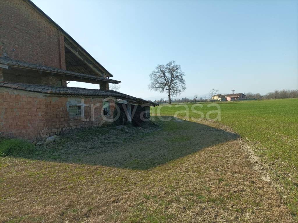 immagine annuncio 5 di 11
