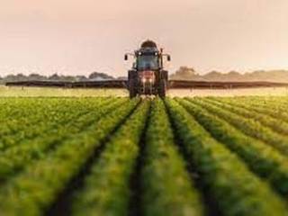 Terreno agricolo in vendita a camerano 