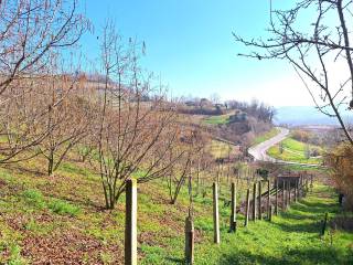 Terreno agricolo in vendita a santa vittoria d'alba via stazione