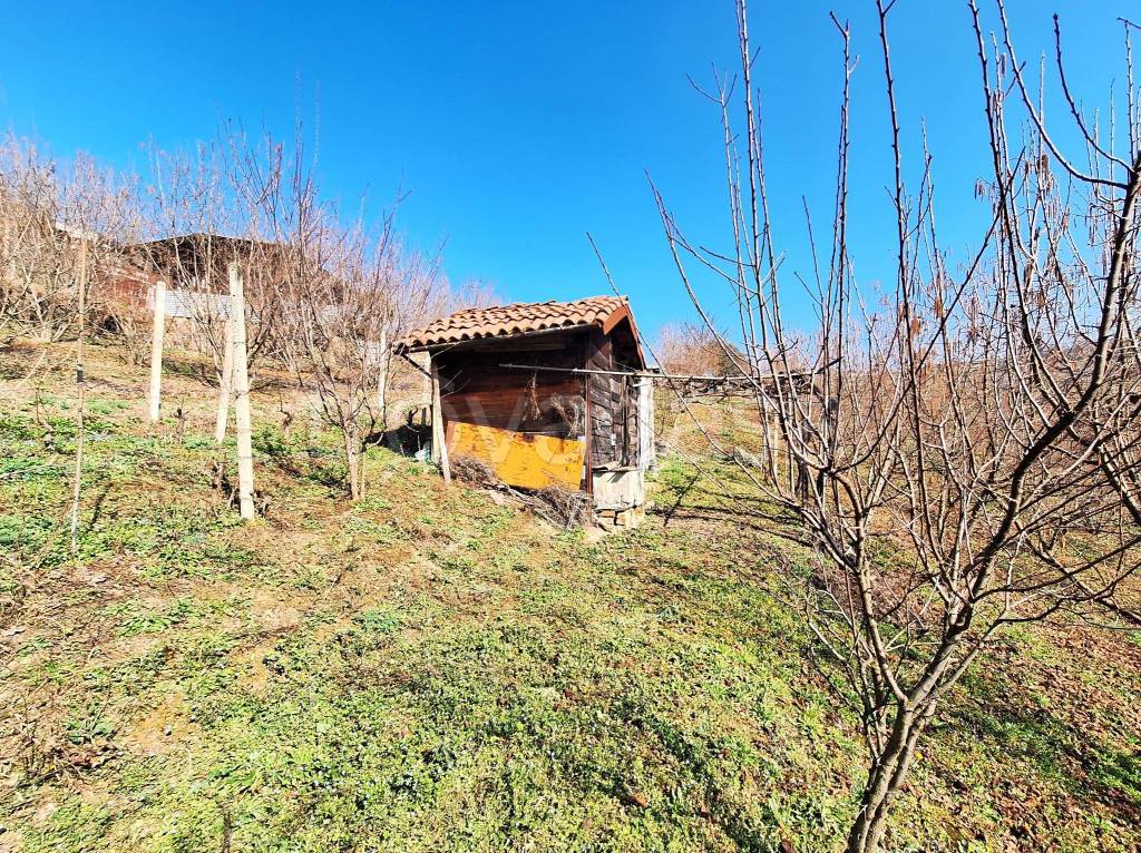 immagine annuncio 10 di 15