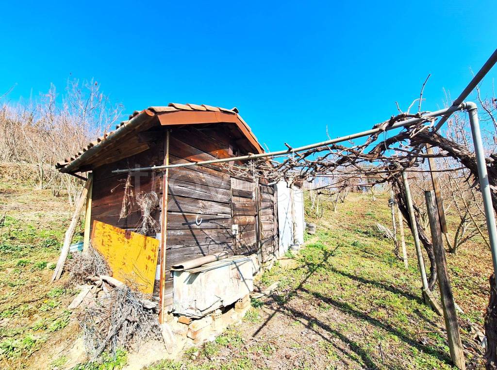 immagine annuncio 11 di 15