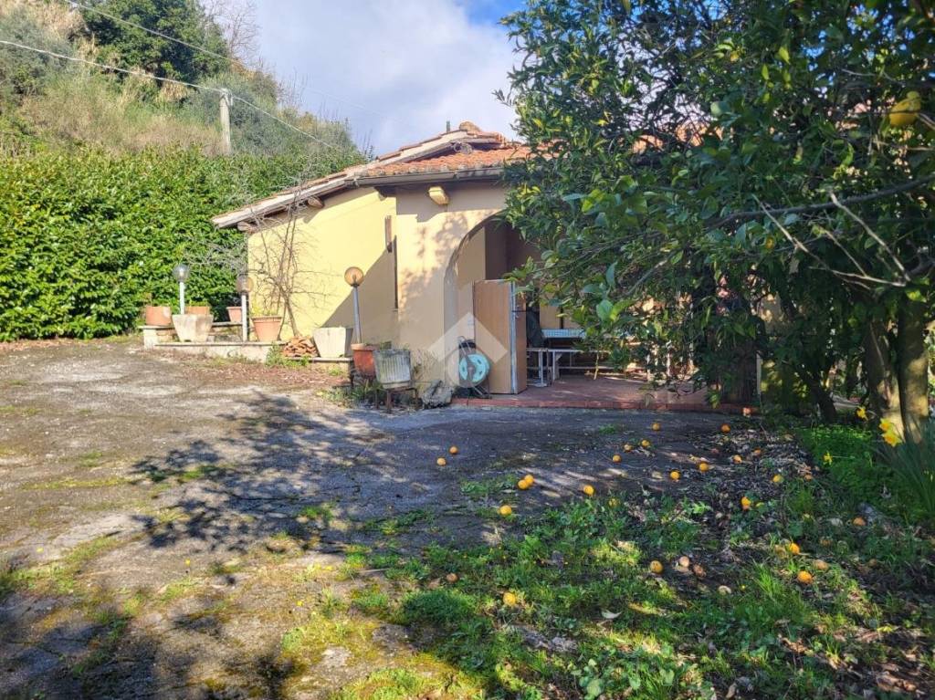 immagine annuncio 6 di 12